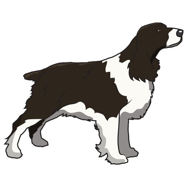 English Springer Spaniel Dog Decal, Dog Lover Decor Vinyl Sticker